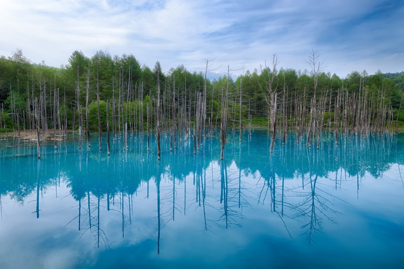 Japan, clouds, 1080P, blue pond, trees, sky, Hokkaido, reflection