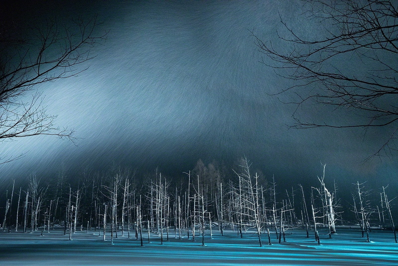 1080P, sky, tranquility, cold temperature, blue, land, tree, snow, trees, fog, branch, tranquil scene, landscape, outdoors, no people, pond, beauty in nature