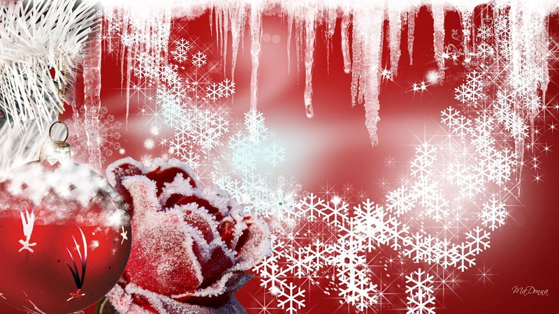 flower, christmas, 1080P, snow, ball, feliz navidad, red, winter, cold, xmas, firefox persona, frost