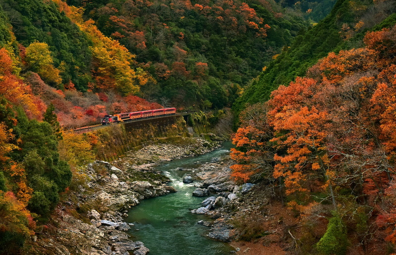 tranquility, tree, water, autumn, forest, beauty in nature, land, nature, no people, bridge, train, non-urban scene, tranquil scene, change, Japan, scenics - nature