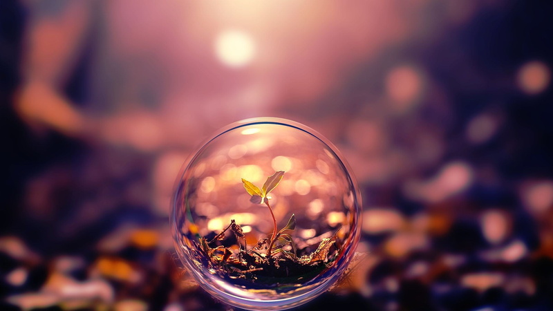 leafed, transparent, sky, beauty in nature, drink, sphere, green, glass - material, shiny, plants, plant, focus on foreground, no people, 1080P, shape
