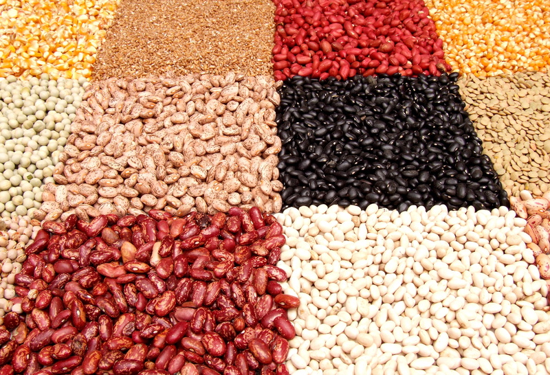 raisin, legume, string bean, no people, healthy eating, dried food, abundance, beans, seed, food, legume family, close-up, large group of objects, edible