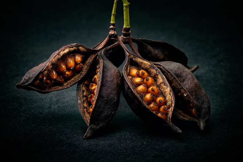 two objects, black background, 1080P, close-up, dry, focus on foreground, brown, studio shot, textured, wellbeing, hanging, table, healthy eating, still life