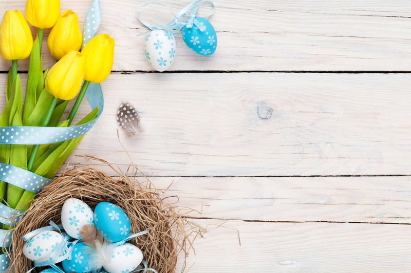 tulips, flowers, 5K, Easter, spring, eggs