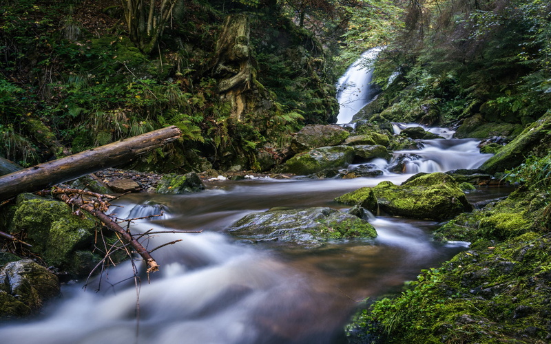 wurttemberg, germany, baden, sources, desktop, 2K, baar, danube, kreis, schwarzwald, hd