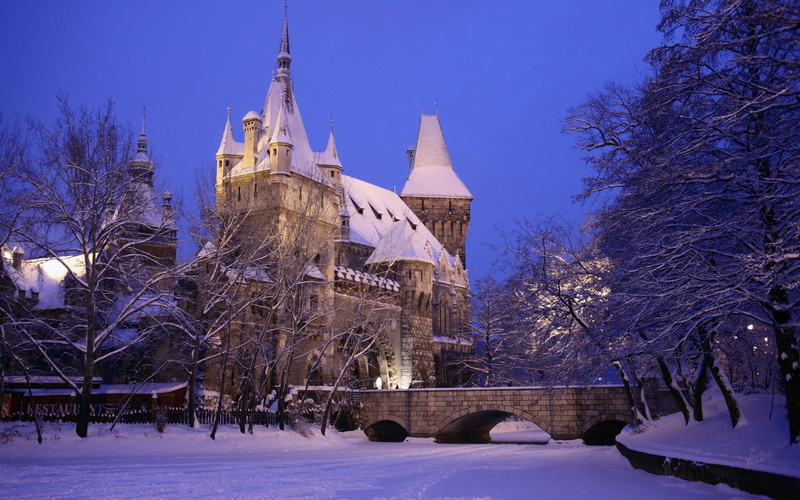 winter, 1080P, spirituality, spire, belief, bare tree, Budapest, outdoors, Hungary, snow, sky, tree, evening, plant, covering, cold temperature, capital