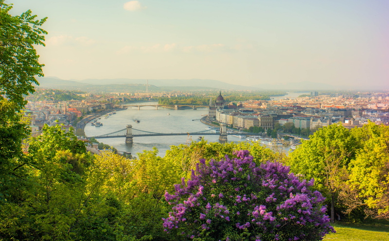 built structure, plant, bridge - man made structure, outdoors, flowering plant, building exterior, city, day, hd, landscape, purple, tree, bridge