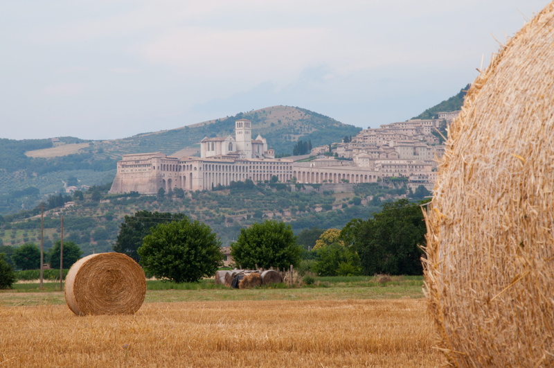 agriculture, stone, architecture, 4K, bale, ancient, tree, hay, green, scenics - nature, landscape, holiday, umbria, rural scene, outdoors, monte subasio