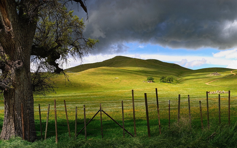 sky, sunlight, hill, cloud - Sky, landscaped, nature, no People, outdoors, tree, panoramic, green, protection, green Color, grass, blue, pasture, fence
