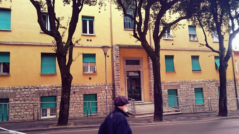 window, city, side view, building exterior, one person, day, scene, tree, urban, road, women, clothing, lifestyles, nature, building, street, residential district