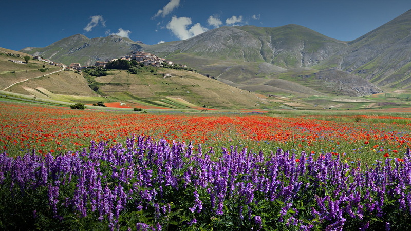 flowers, Italy, village, clouds, 1080P, road, mountains, Perugia, sky, purple flowers, nature, red flowers, landscape, plants