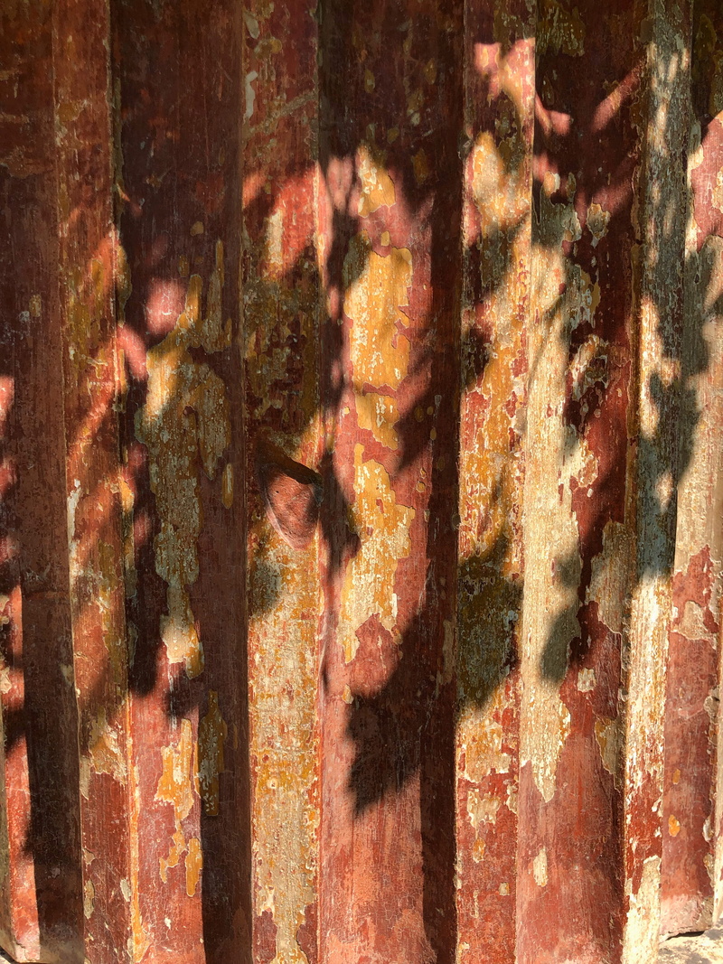 tree trunk, weathered, wall - building feature, stain, villa donini, day, art, trunk, painting, outdoors, red, sunlight, full frame, no people, shadow
