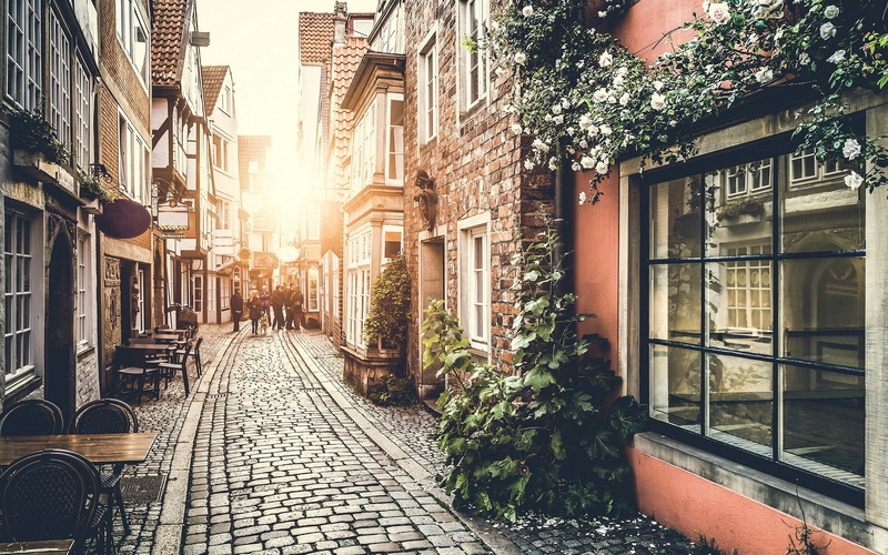 cobblestone, 1080P, street, white flowers, window, Sun, sunlight, Netherlands, urban