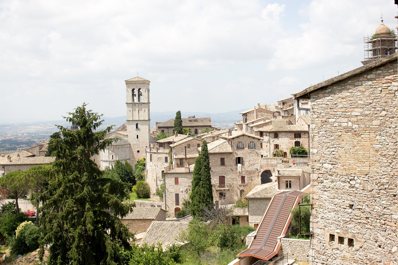 architecture, place of worship, old, tree, built structure, building, assisi, day, history, no people, residential district, historical, cloud - sky, plant