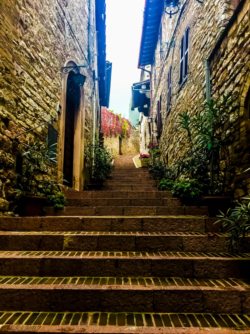 2K, architecture, potted plant, italy, outdoors, nature, side street, no people, alley, plant, quiet road, wall - building feature, built structure, low angle view