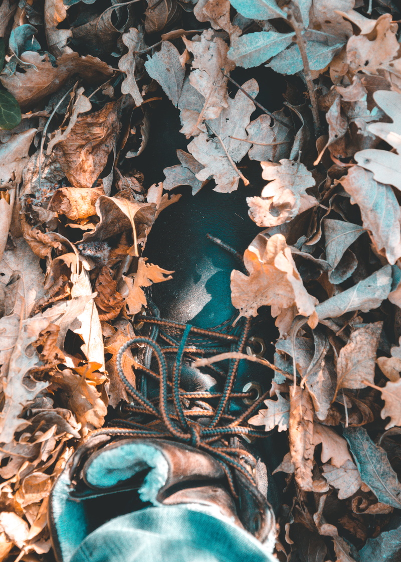 foliage, messy, step, leaves, trip, dry, high angle view, season, beauty in nature, leave, assisi, timberland, explore, fai - bosco di san francesco, tree
