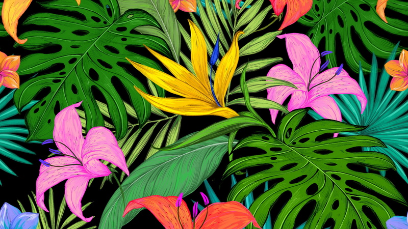 leaf, 4K, drawing, pattern, flower, floristry, colorful, flora
