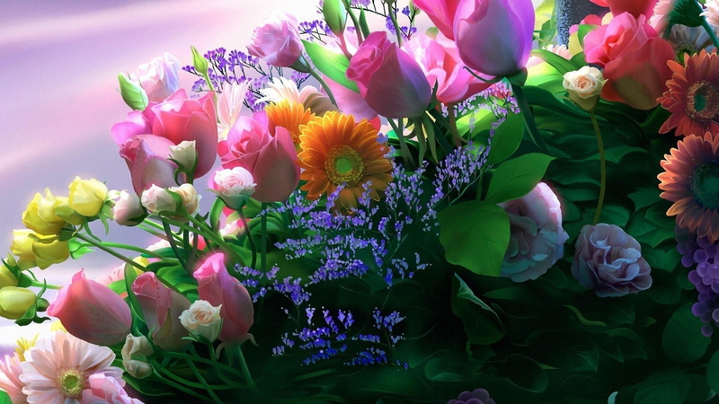 flower head, floristry, variation, flower arrangement, outdoors, close-up, no people, leaf, flowering plant, plant, freshness, flower, growth, cut flowers