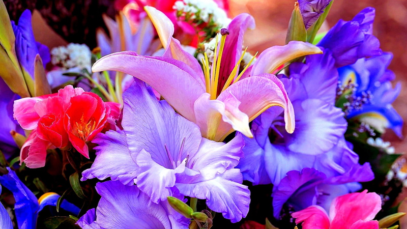 4K, bouquet, flower, floristry, petal, colorful, flora, lily, lilium, flower bouquet, plant