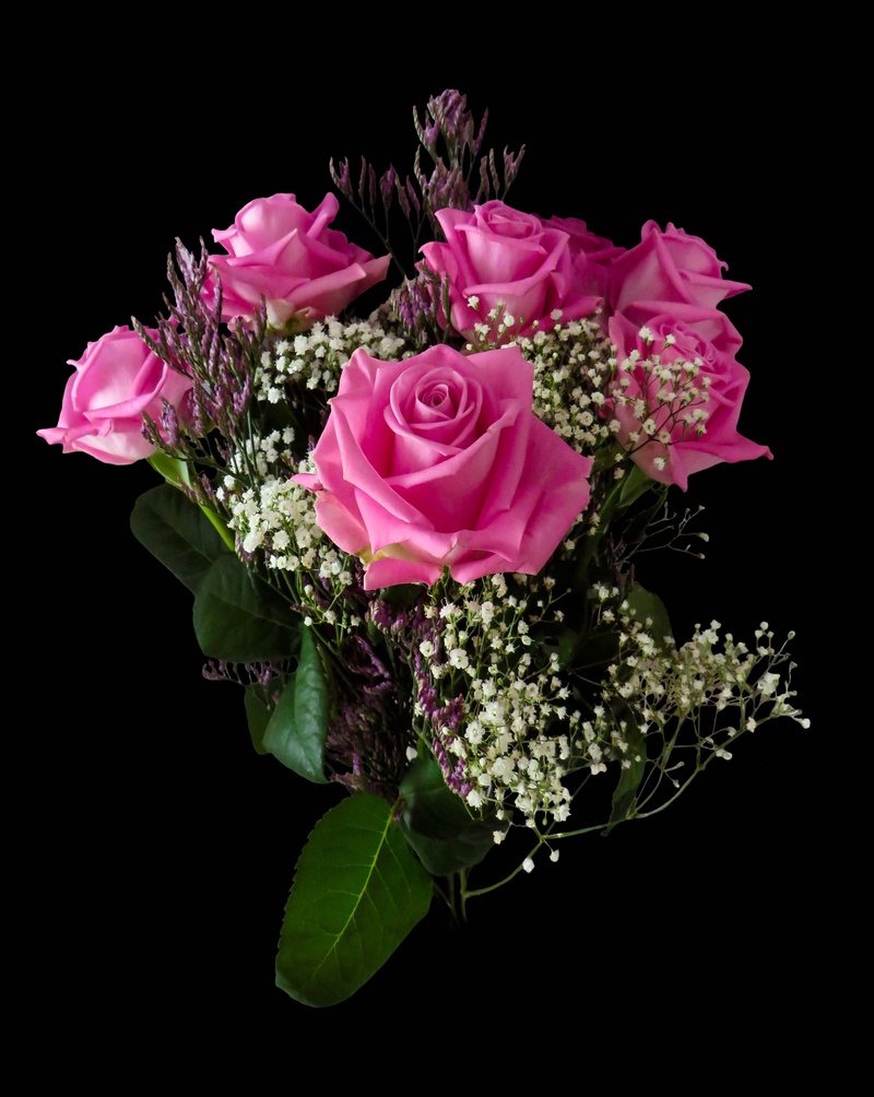 vulnerability, studio shot, flowers, flowering plant, greeting, freshness, birth day flowers, indoors, black background, pink, bridal bouquet, rose, nature