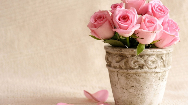 beauty in nature, pitcher - jug, bouquet, floral design, flower arrangement, inflorescence, flower, rose, freshness, cut flowers, bunch of flowers, fragility
