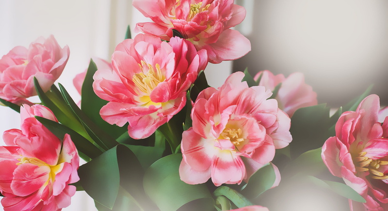 bunch of flowers, leaf, beauty in nature, inflorescence, flowers, close up, 2K, vulnerability, pink, cut flowers, flowering plant, flower arrangement