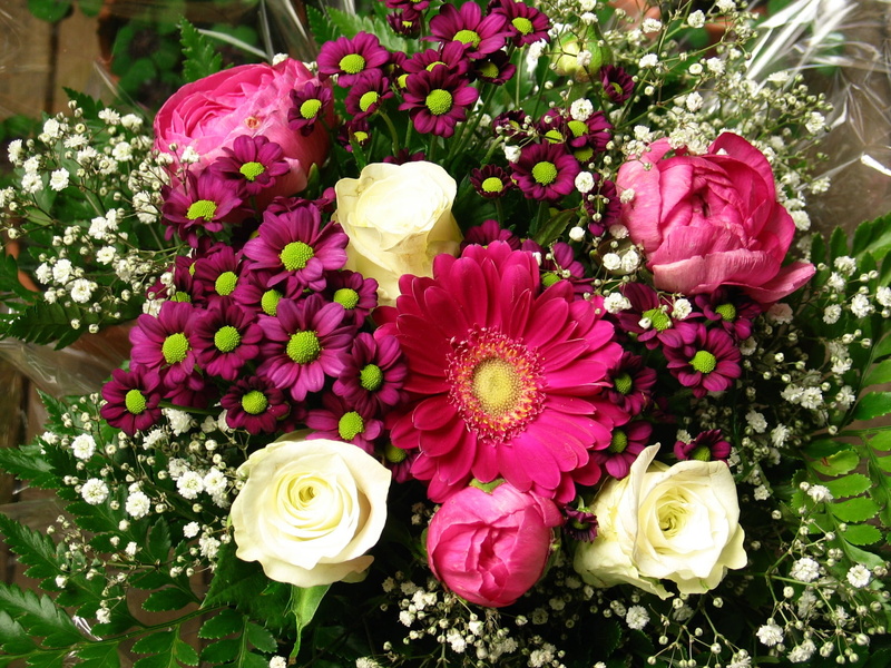 close-up, floristry, vulnerability, Birthday, festival, happy, high angle view, mothers day, romantic, birthday table, outdoors, luck, pink, 1080P, freshness