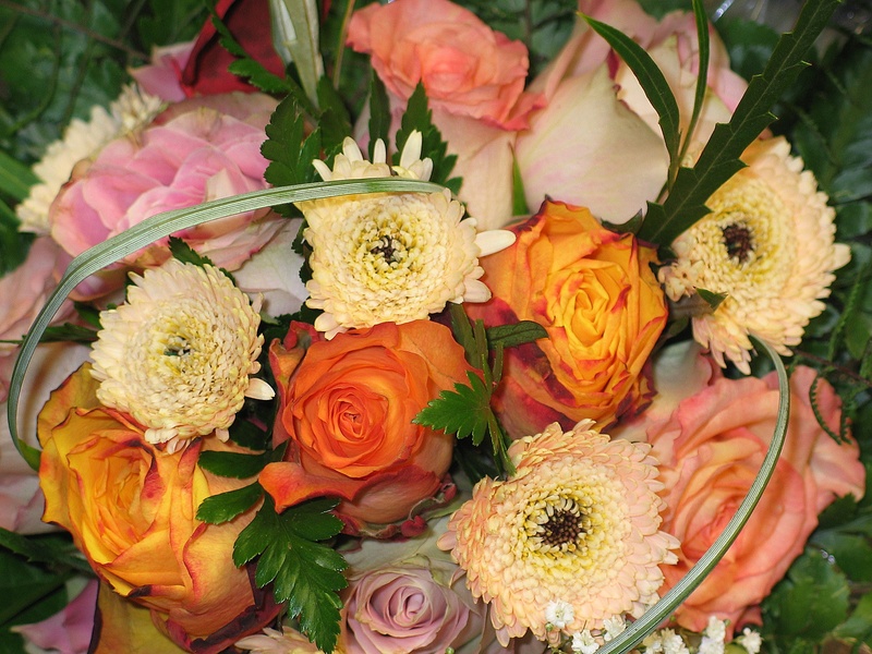 choice, background image, happy, inflorescence, colorful, variation, flower market, congratulations, arrangement, joy of life, creativity, flower arrangement