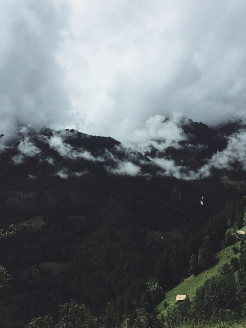 environment, mountains, tree, tranquil scene, switzerland, gloomy, no people, landscape, mistyforest, outdoors, scenics - nature, mountainlife, sky, plant