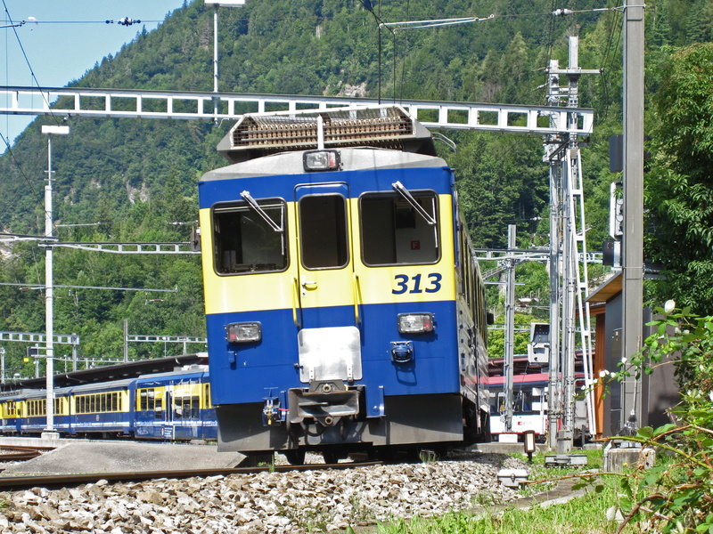 transport system, ballast bed, electrical multiple unit, narrow gauge, railway, tree, exit interlaken ost, tilt, cable car, rail- cars, journey, bob, track