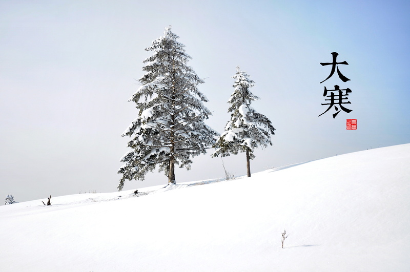 no people, environment, day, pine tree, land, white color, tranquility, winter, coniferous tree, solar terms, nature, snowing, snowcapped mountain, plant