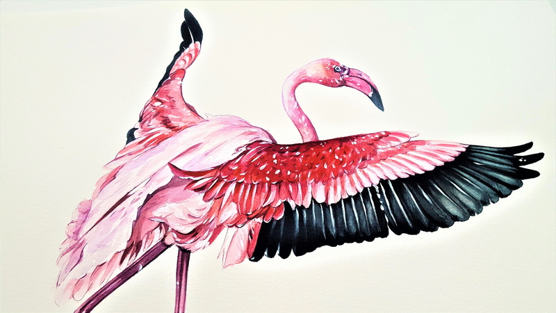 one animal, flying, flamingo, 5K, indoors, creativity, painting, animal, pink color, studio shot, no people, white background, art, animal wildlife, animal body part