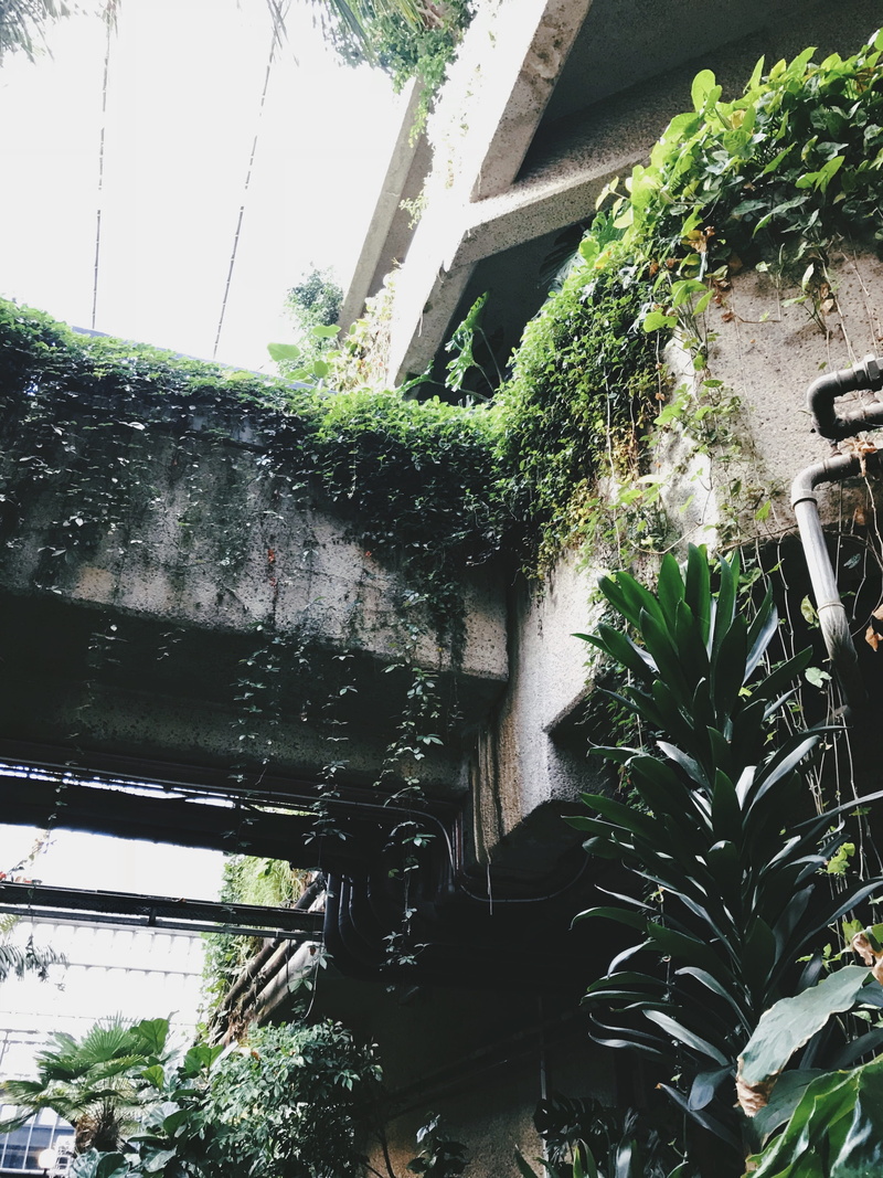 housing, porch, day, building exterior, outdoors, agavaceae, united kingdom, architecture, pergola, garden, patio, plant, wall - building feature, 4K