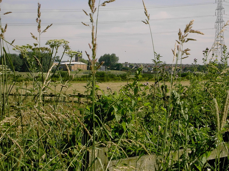 parish church, post, pylon, north-west, houses, fences, powerlines, greater manchester, industrial, 1080P, fields, weeds