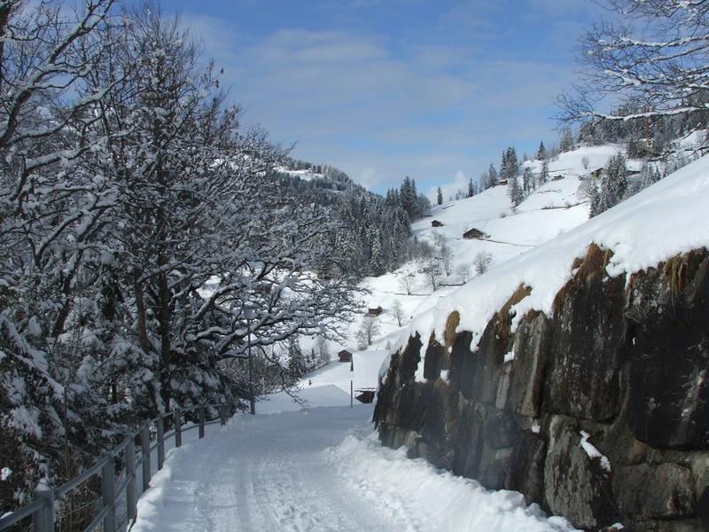 transportation, alps, mountain, road, tranquil scene, white color, scenics - nature, snow, covering, beauty in nature, plant, day, nature, tranquility