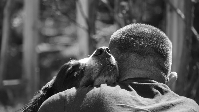 master, head, affection, love, real people, focus on foreground, enjoy, portrait, vertebrate, loyal friend, smooch, hug, people, animal wildlife, welcome