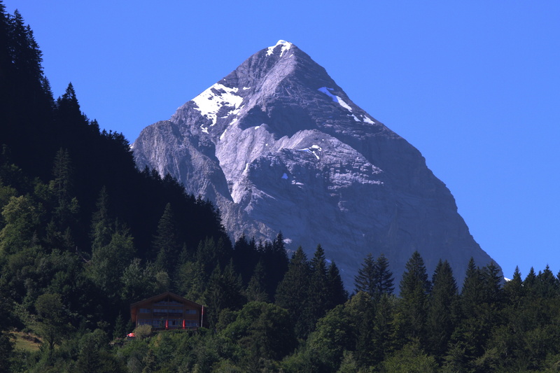 alpine walk, mountain peak, mountains, forest, leisure, tree, pine tree, environment, scenics - nature, brienz, berner, outlook, summer, bernese oberland