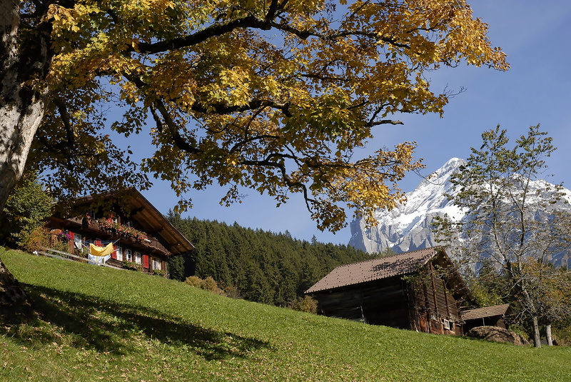 built structure, berner, bernese oberland, grass, mountains, grindelwald, mountain landscape, residential district, building, land, beautiful, switzerland