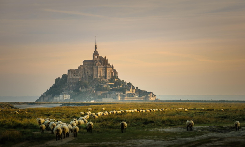 1080P, france, cathedral, abbey, church, mont, michel, saint, monastery, saint michel, castle, french