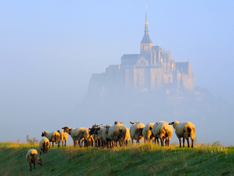 mont, saint michel, 720P, michel, french, church, cathedral, monastery, abbey, saint, france, castle