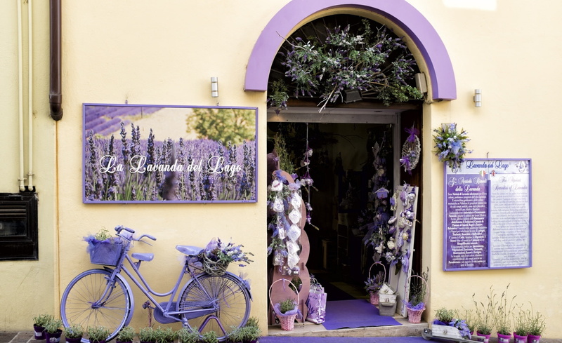 bike, architecture, Fuji, Lavender, outdoors, desenzano, entrance, Shop, Purple, 1080P, Italy, day, x100s, window, building exterior, nature, fujifilm