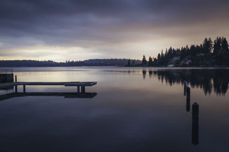 tall, trees, seattle, body of water, sunset  lake, surrounded, wooden, water, sky, reflection, calm, nature, outdoors, lakeside, Explored, scenics, sunset