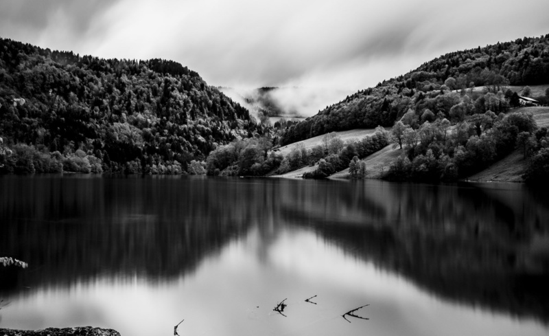 tranquility, scenics - nature, animal themes, beauty in nature, 1080P, Black, animals in the wild, Fuji, lake, Mountain, sky, bird, non-urban scene, tranquil scene