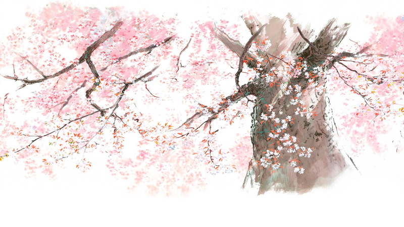 1080P, the tale of the princess kaguya