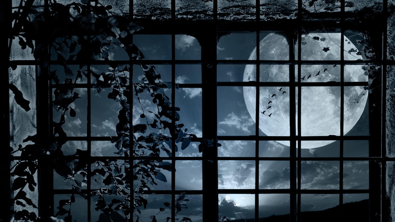 night, window, 4K, full moon, moon