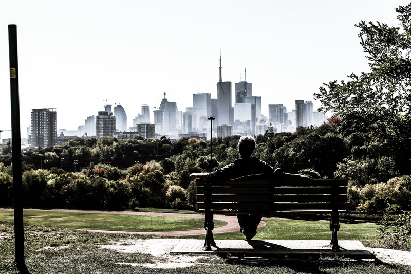 view, sitting, buildings, park, sky, bench, only men, seat, urban skyline, sunny, tall - high, skyline, daylight, tree, growth, plant, built structure