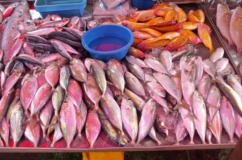 fresh fish, market, exotic food, fishing industry, variation, for sale, still life, ocean, thailand-market, fishmonger, thai, 4K, seafood, retail display
