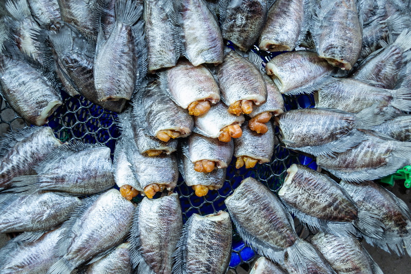 black, 4K, seafood, closeup, salted, fish, wellbeing, backgrounds, close-up, day, eat, pectoralis, food and drink, abstract, background, for sale, retail