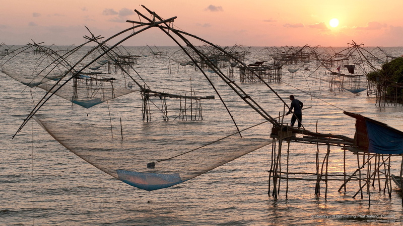 fishing, 2K, stationary, lift, thailand, net, phatthalung, Asia