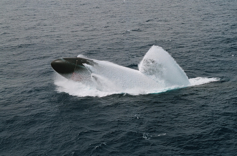 animals in the wild, vehicle, one animal, aquatic mammal, nuclear submarines, nature, whale, military, animal wildlife, animal themes, no people, swimming